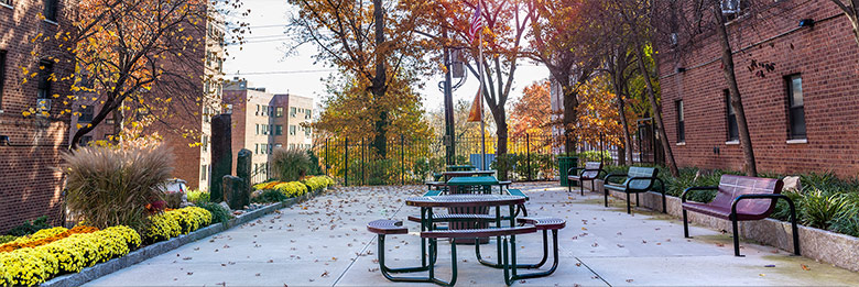 Outdoor Patio Picnic Area